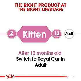 Thức Ăn Cho Mèo Con Royal Canin Kitten 36