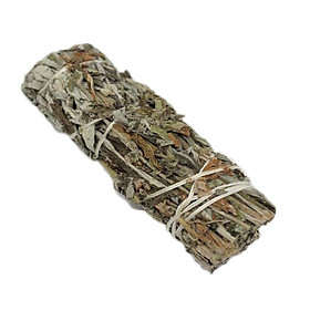 Bó lá xô thơm đen - Black sage - Mugwort