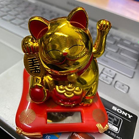 Mua Mèo phong thủy siêu mini