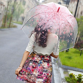 Mua Dù trong suốt họa tiết  hoa anh đào  ô  đi mưa   chụp hình siêu đẹp  cute xinh xắn đáng yêu