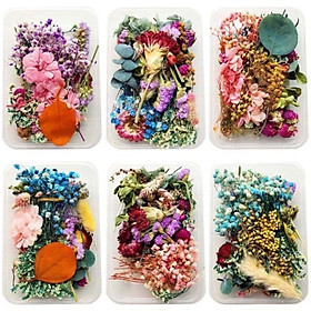 Hộp hoa khô mix tổng hợp trang trí resin