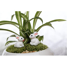 Đôi thỏ trắng để trang trí nhà búp bê, tiểu cảnh, bonsai