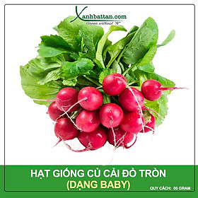Hạt Giống Củ Cải Đỏ Tròn Phú Nông Gói 5 Gram