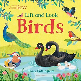 Sách tương tác tiếng Anh: Kew: Lift and Look Birds