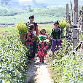Tour 2N1Đ Mộc Châu - Mai Châu - Happy Land, Khởi Hành Thứ 7 Hàng Tuần Từ Hà Nội