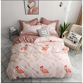 Bộ chăn ga gối cotton PL1 - Hồng Hạc  - Tặng 01 móc khóa Houston