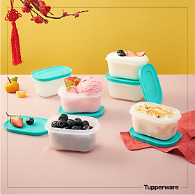 Bộ hộp trữ đông mini freezermate gen ii 170ml tupperware chính hãng