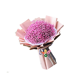 Mua Hoa Sinh Nhật Baby – 1111