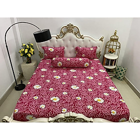 Bộ Drap Thun Hàn Quốc Mát Lạnh Cực Hot {4 MÓN} ĐỦ SIZE