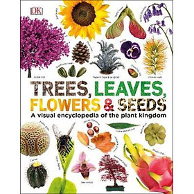 Sách - Trees, Leaves, Flowers & Seeds : A visual encyclopedia of the plant kingdom by DK (UK edition, hardcover)