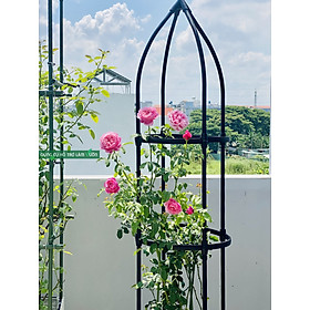 Mua KHUNG LỒNG CHIM CAO CẤP