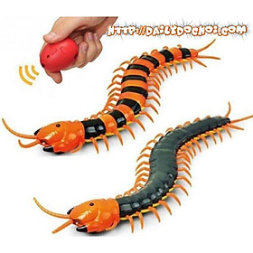 Mô hình con rết RC với quả trứng thú vị