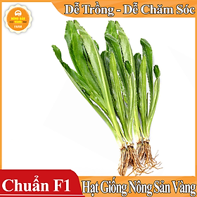 Mua Hạt giống Rau Mùi Tàu   Ngò Gai ( Gói 5 Gram ) - Nông Sản Vàng