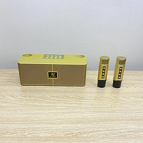 Mua Loa Bluetooth Karaoke YS-204 Tặng Kèm 2 Micro Không Dây