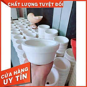 Chậu đất nung trồng cây Nhiều Người Mua