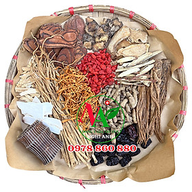 Thang ngâm rượu bổ thận, tráng dương mạnh gân cốt lưu thông khí huyết Đông Y Nghi Anh