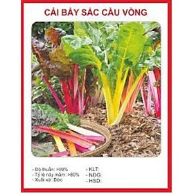 HẠT GIỐNG CẢI BẨY SẮC CẦU VỒNG GÓI 25/30 HẠT