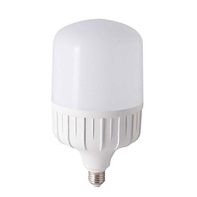 Bóng đèn LED TRỤ 50W Rạng Đông, Chip LED Sam Sung - Trắng 6500K