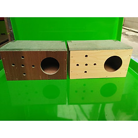 Combo 2 Tổ chim yến phụng , bảy màu , sắc nhật