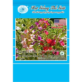 50h Hạt Giống Hoa Móng Tay Lùn - 30cm Mix (Impatiens Balsamina)