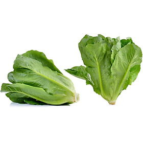 Xà lách Romaine 300g