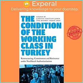 Sách - The Condition of the Working Class in Turkey - Labour under Neoliber by Mehmet Erman Erol (UK edition, paperback)