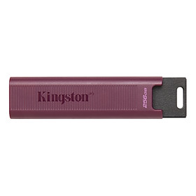 Mua USB Kingston DataTraveler Max 256GB Type-A - DTMAXA/256GB - Hàng Chính Hãng