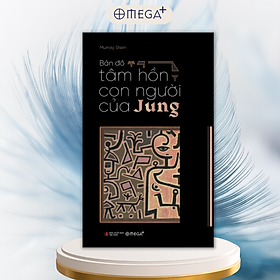 BẢN ĐỒ TÂM HỒN CON NGƯỜI CỦA JUNG - Murray Stein - Đặng Quân dịch - Omega+ - bìa mềm