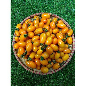 Gói 0.1GR hạt giống Cà Chua Bi Vàng F1 SV 123 ( Cà chua Cherry)