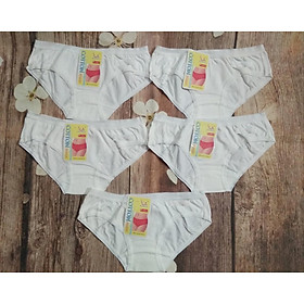 Combo 5 quần lót học sinh cotton thái màu trắng form nhỏ