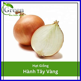 Mua Hạt Giống Hành Tây Vàng