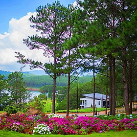 Tour Đà Lạt Khứ Hồi Xe Lửa 3N4Đ Đón Xuân - Khám Phá Nhà Ga Cao Nhất Việt Nam