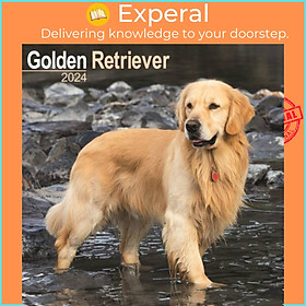 Sách - Golden Retriever Calendar 2024  Square Dog Breed Wall Calendar - 16 Month by  (UK edition, paperback)