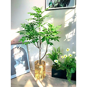 Mua Cây nam thiên trúc giả - Cao 150cm - Thân nhựa lõi thép - Cây giả  hoa lụa Decor trang trí nhà cửa.