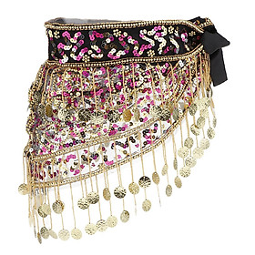 Costume Belly Dance Skirt Coin Cloth Coin Belt With Sequins, 150 Coins Tassel Belly Dance Carnival Carnival