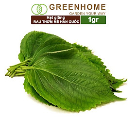 Hạt Giống Rau Thơm Mè Greenhome, Gói 0.5g, Dễ Trồng Quanh Năm, Nảy Mầm Cao, Thu Hoạch Nhanh, Năng Suất Cao R17