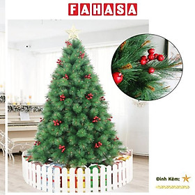 Cây Thông Cước Đầu Vàng Gắn Trái Đỏ 150 cm - Chaang Chiia LP-YHN-5R