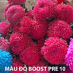Hủ Bột Nhuộm Màu Hoa Tươi nhập khẩu Israel (1 hủ pha 10L - 12L nước nhuộm màu hoa) an toàn và chuyện nghiệp thuộc công nghệ Israel với hơn 20 màu lựa chọn