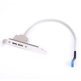 Kebidu Cáp tiêu đề 20 chân Tốc độ cao USB 3.0 Giá đỡ mở rộng mặt sau 2 cổng Bo mạch chủ Cáp dữ liệu 5Gbps cho PC USB 2.0 Màu sắc: USB 2.0 9 chân