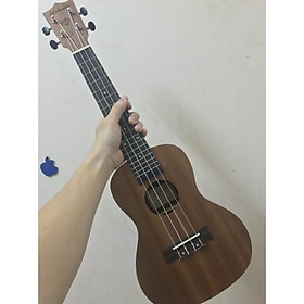 Mua ĐÀN UKULELE CONCERT GỖ ARTEMIS