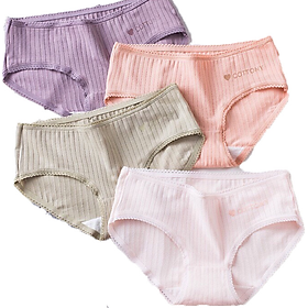 Combo 4 Quần lót nữ tăm tre kháng khuẩn co giãn DN 5366