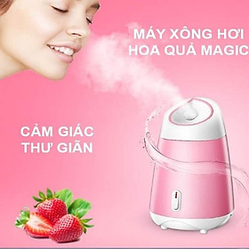 Mua Máy xông hơi hoa quả  cho cảm giác thư giãn sương mù Nano thấm sâu vào da làm mềm  giữ ẩm và thải độc cho da