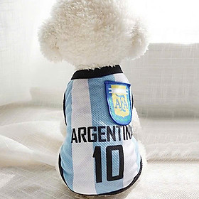 ÁO BÓNG ĐÁ SÔ 10 CHO THÚ CƯNG CHÓ MÈO