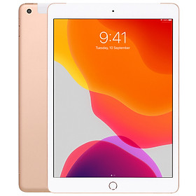 iPad 10.2 Inch WiFi/Cellular 128GB New 2019 - Hàng Chính Hãng