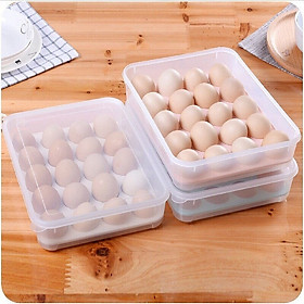 Mua Hộp đựng trứng 24 quả tiện dụng Khay trứng 1 tầng nhựa Song Long cao cấp
