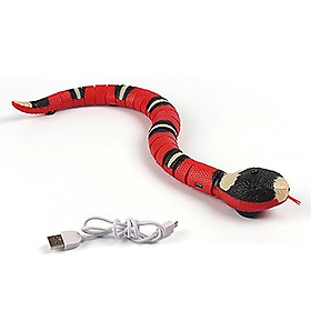 Đồ chơi Tương tác Snake Snake Snake Snake thông minh cho mèo sạc USB sạc