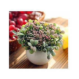 Hoa quả giả, chậu cỏ giả điểm nụ hoa nhí để bàn, kệ tủ trang trí nhà cửa nhiều mẫu đẹp