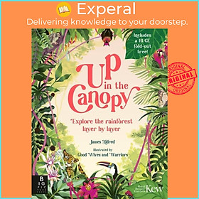 Sách - Up in the Canopy - Explore the Rainforest, Layer by Layer by Good Wives and Warriors (UK edition, hardcover)