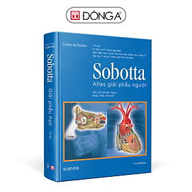 Hình ảnh Sobotta 'Atlas' Giải Phẫu Người