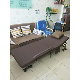 Giường gấp kiểu Hàn Quốc rộng 80cm